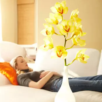feng-shui-consultations-merseyside image Feng Shui